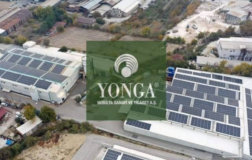 YONGA’da Meşe İthalatı Alarmı