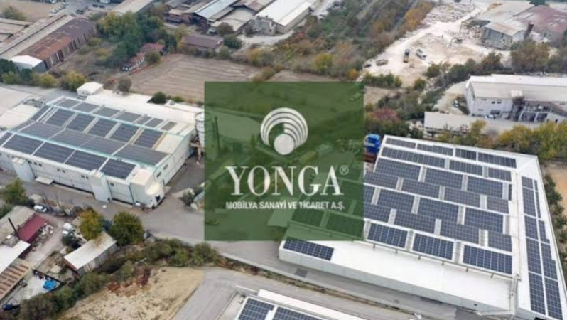 YONGA’da Meşe İthalatı Alarmı