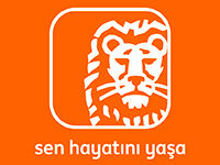 Ing Bank 2026 İlk Yarı Finansalları