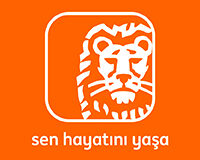 Ing Bank 2026 İlk Yarı Finansalları
