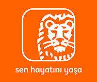 Ing Bank 2026 İlk Yarı Finansalları