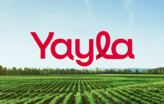 YYLGD 2026 Yarıyıl Finansal Sonuçları