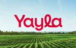 YYLGD 2026 Yarıyıl Finansal Sonuçları
