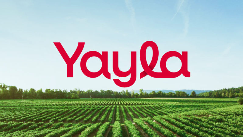 YYLGD 2026 Yarıyıl Finansal Sonuçları
