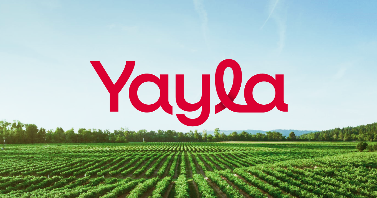 YYLGD 2026 Yarıyıl Finansal Sonuçları