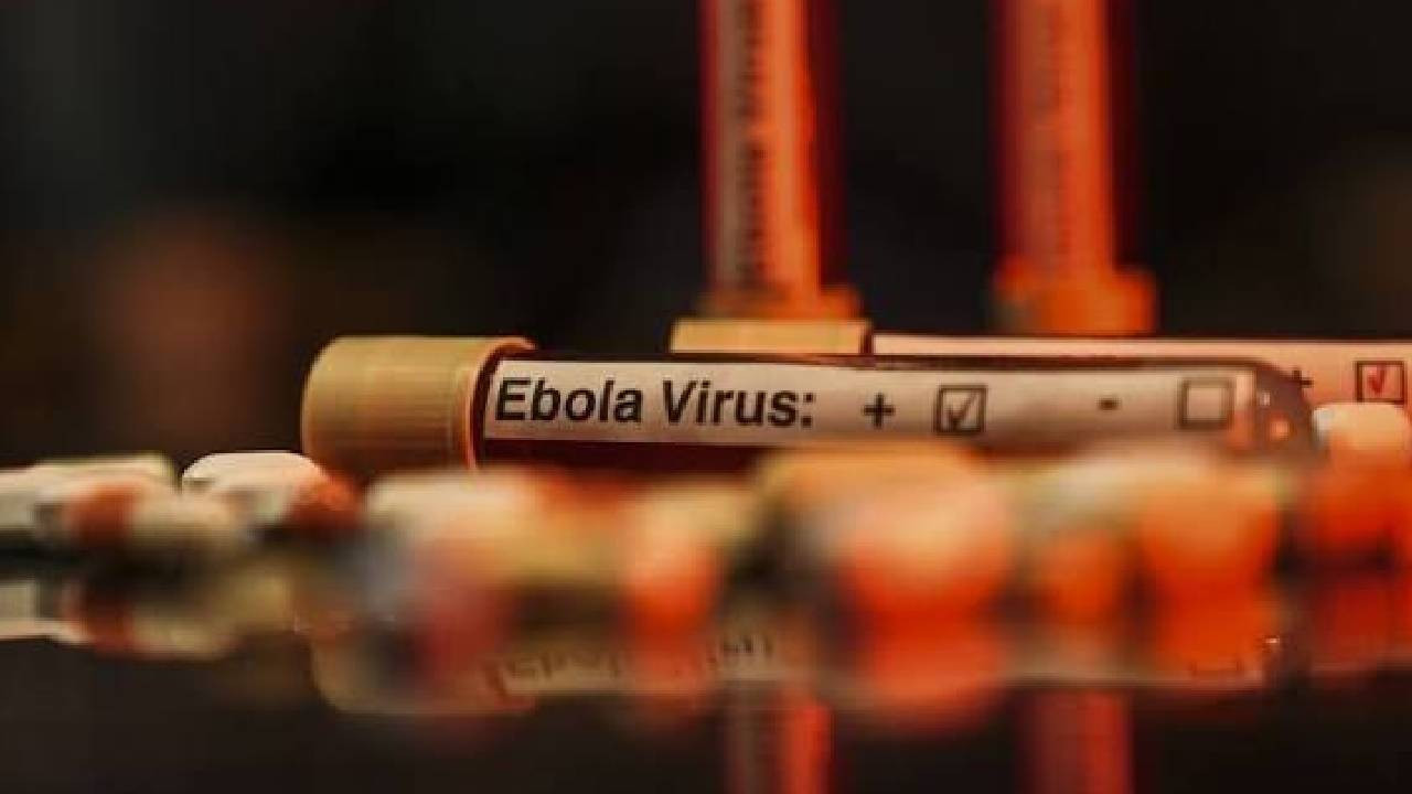 Kongo Ebola Salgını: Küresel Risk Artıyor