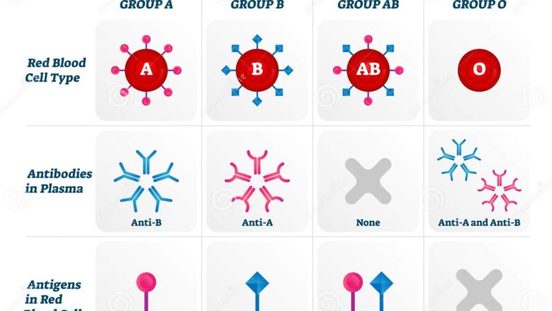 AB, Yapay Zekâ Cezalarını Ağırlaştırdı