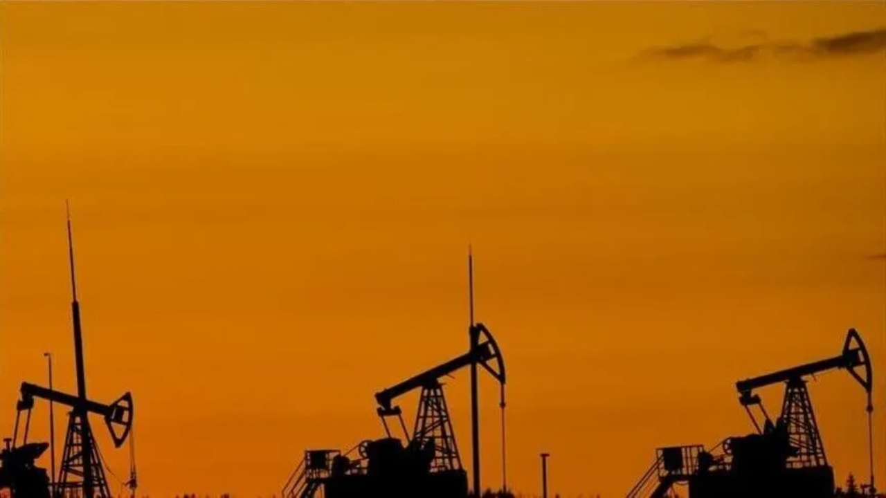 Yerli Petrol Ve Gazda Büyük Artış
