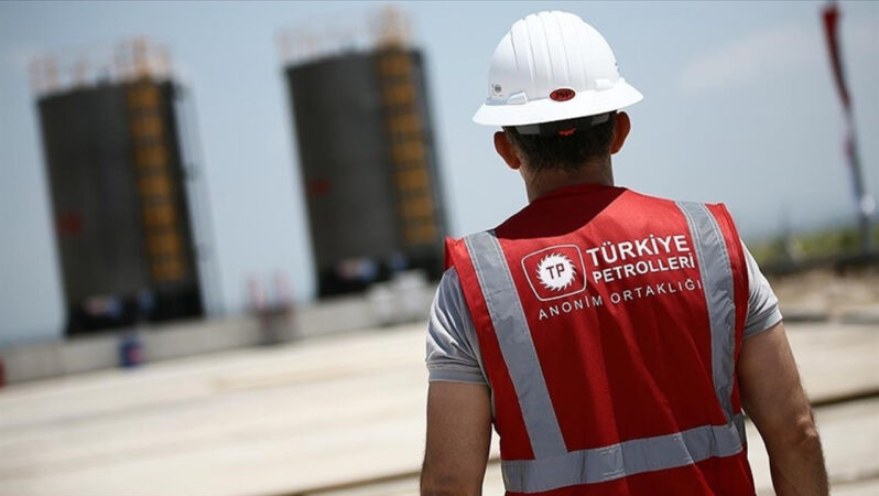 TPAO İçin Uluslararası Marka Hedefi
