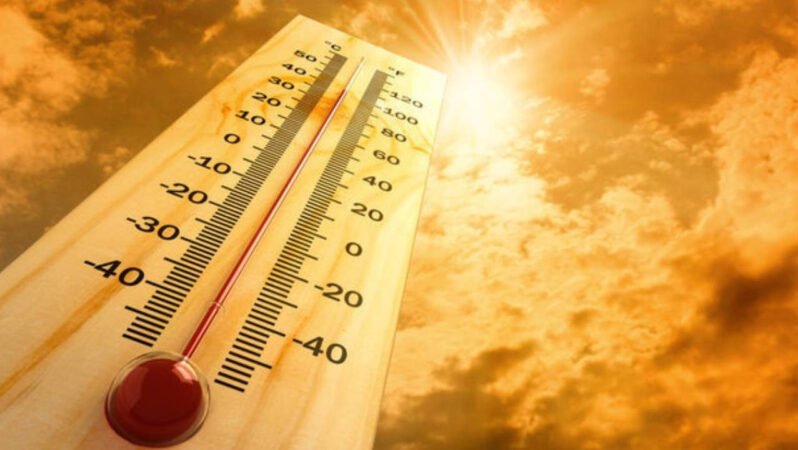 Almanya’da Aşırı Sıcaklar Ekonomiye Büyük Darbe