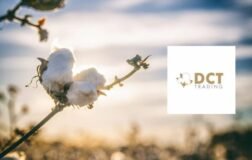 Pardus Portföy’den DCTTR Pay Satışı