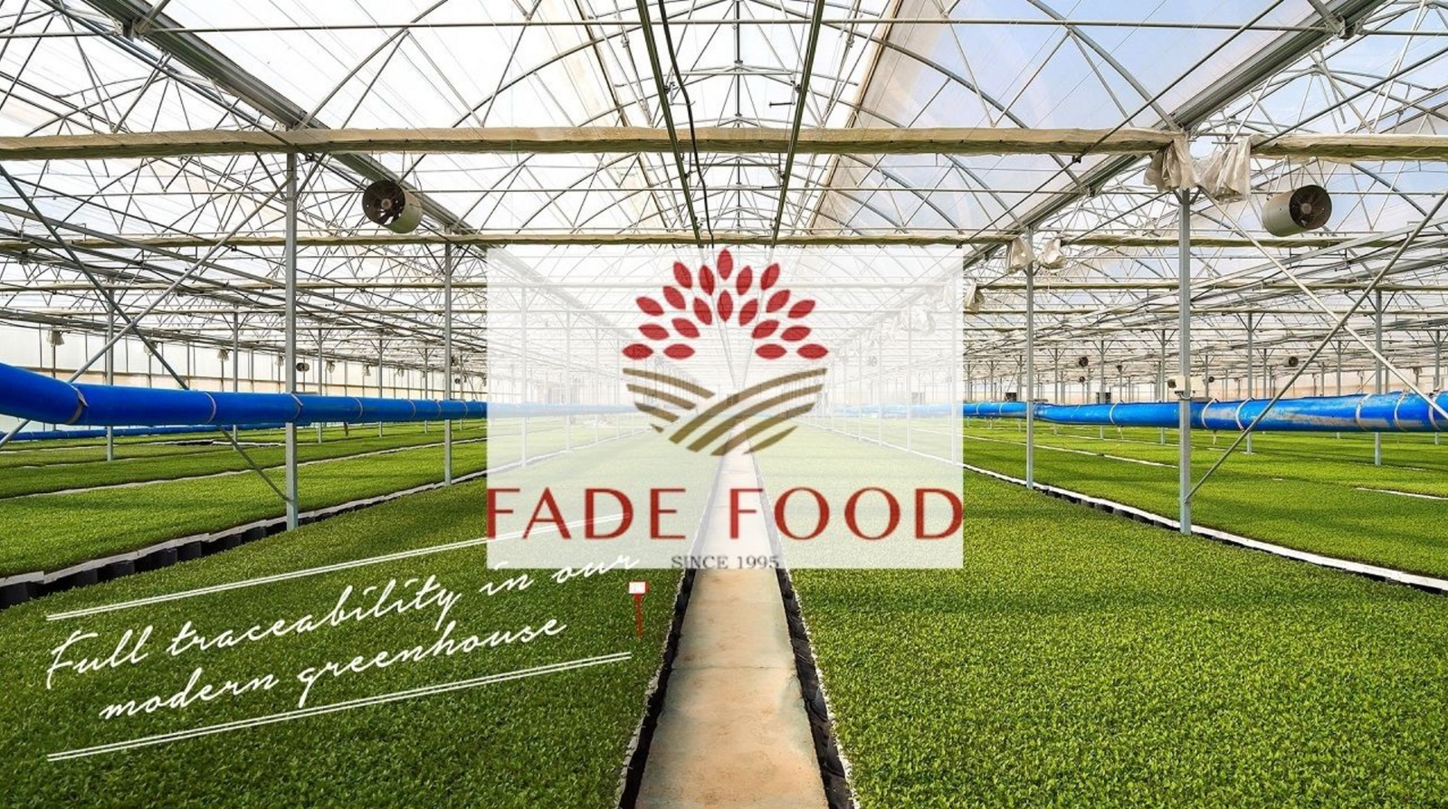 FADE Gıda Yatırım Pay Geri Alım İşlemlerine Devam Ediyor