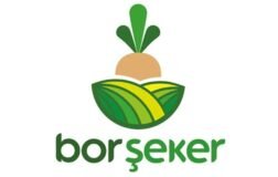 BORSK’tan Yeni Pay Geri Alım Programı