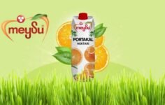MEYSU GIDA SANAYİ VE TİCARET A.Ş.: Payların Geri Alınmasına İlişkin Bildirim