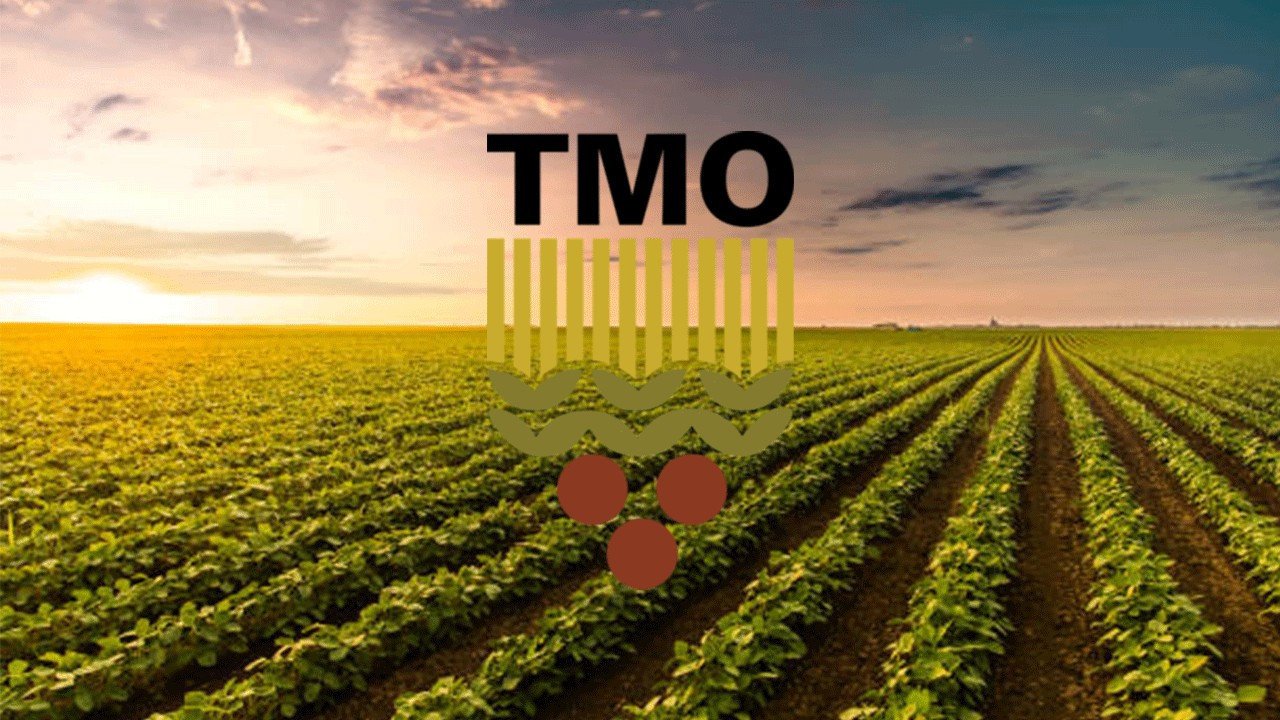 TMO’dan Hububat Alımında Rekor Ödeme