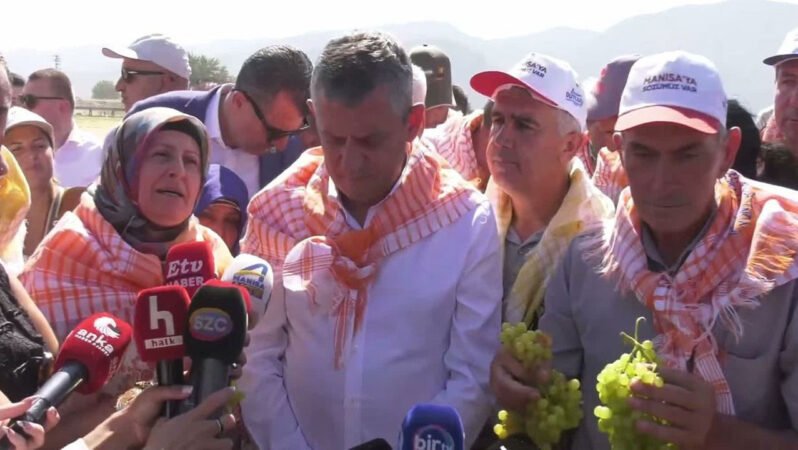 Özel: TMO Üzüm Fiyatı Belirlemeli
