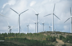 Tatlıpınar Enerji’den Dev Pay Geri Alım Hamlesi