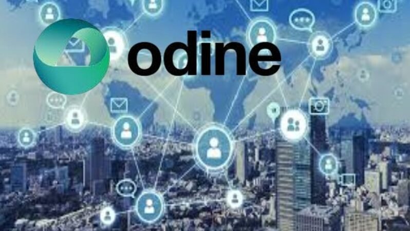 Odine Solutions’da Yatırımcı İlişkileri Bölümüne Atama Yapıldı