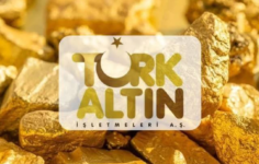 TRALT lehine Koza Ltd. kararı