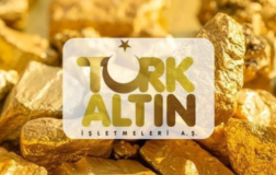 TRALT lehine Koza Ltd. kararı