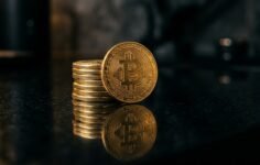 Bitcoin Piyasasında Güncel Durum Netleşti: BTC Fiyatlarında 80 Bin Dolar Sınırı Aşılırken 356 Milyon Dolarlık Tasfiye Dalgası Yaşandı