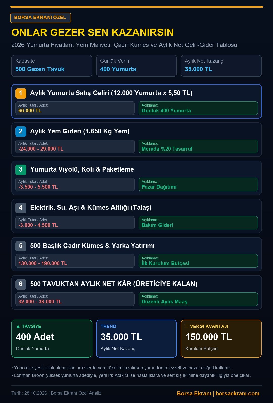Onlar Gezer Sen Kazanırsın: 500 Gezen Tavuk Ne Kadar Kazandırır, Ayda Kaç TL Bırakır?