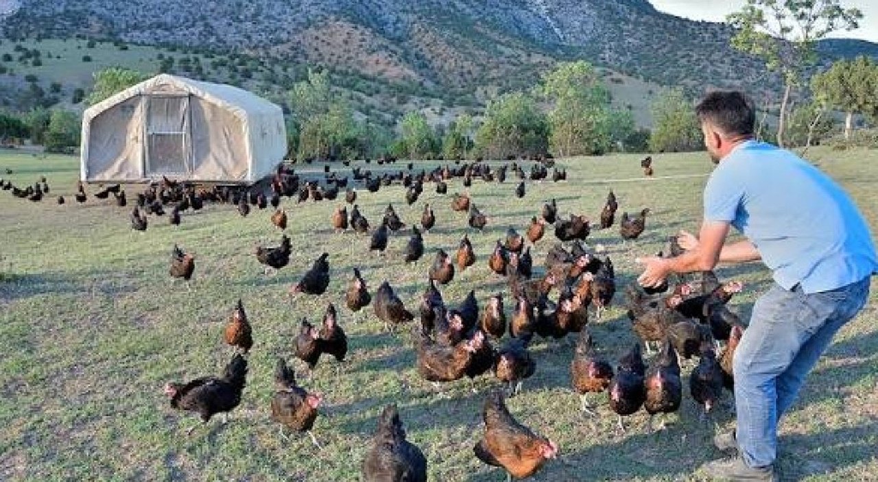 Son Dakika: Hayvancılık Sektöründe Yeni Dönem, 52,5 Milyar Liralık Dev Destek Paketi Hayata Geçiyor