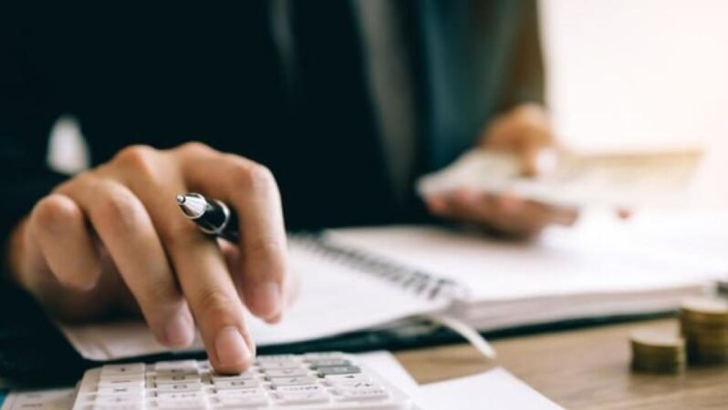 Bütçe Pay Gelirlerinde Yüzde 29 Artış Hedeflendi