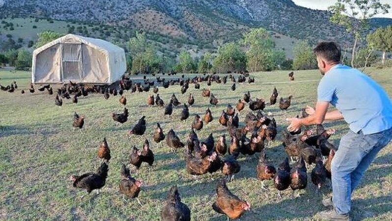 Bes’te Standart Fon Tuzağından Kurtulma: Altın Ve Hisse Fonlarıyla Enflasyonu Katlama Rehberi