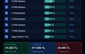 Zeray Gyo (ZERGY) Pay Geri Alım İşlemlerine Devam Ediyor